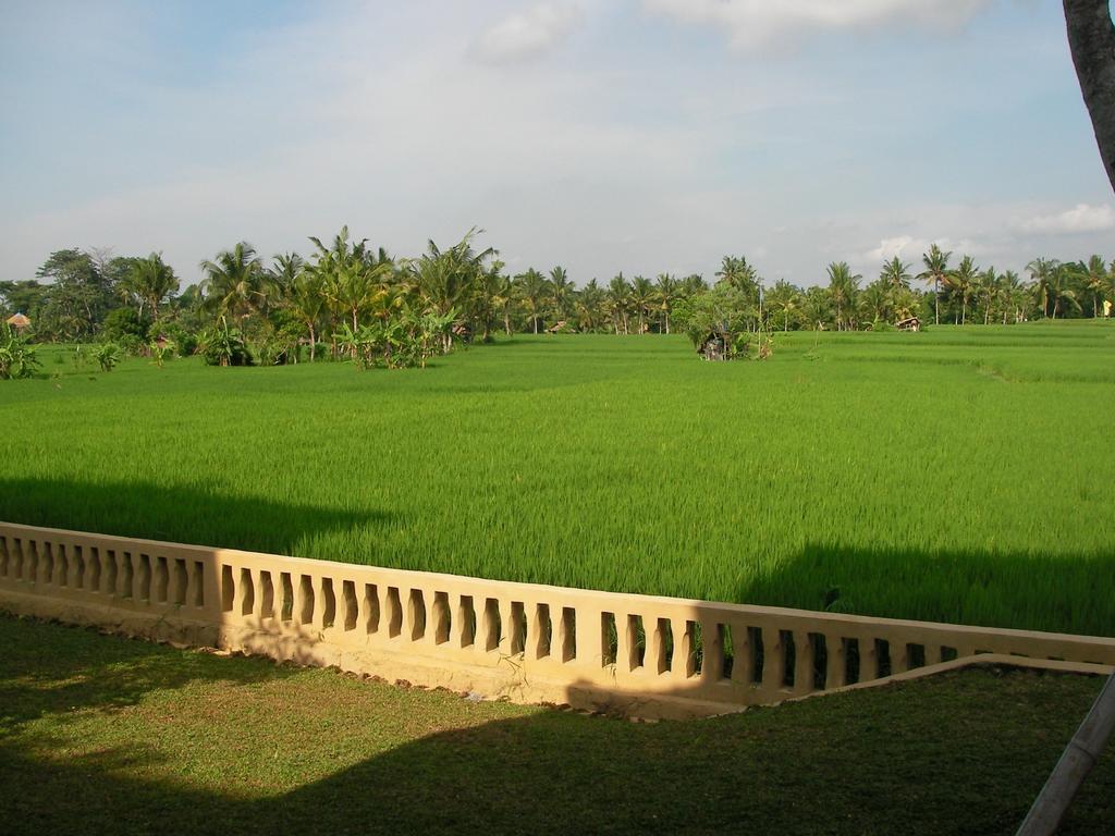 Green Field Hotel And Restaurant Ubud  Exterior photo